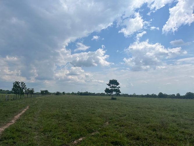 Finca en Venta en Cabuyaro - Miniatura 3