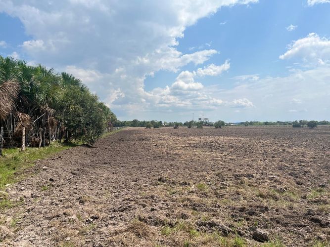 Finca en Venta en Cabuyaro - Miniatura 4