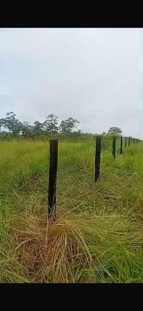Finca en Venta en Cabuyaro - Miniatura 13