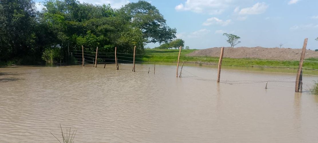 Finca en Venta en Cabuyaro - Miniatura 8