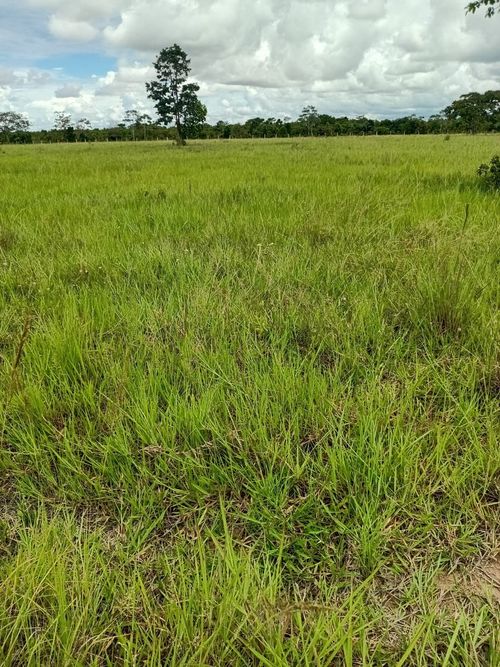 Finca en Venta en Cabuyaro - Miniatura 16