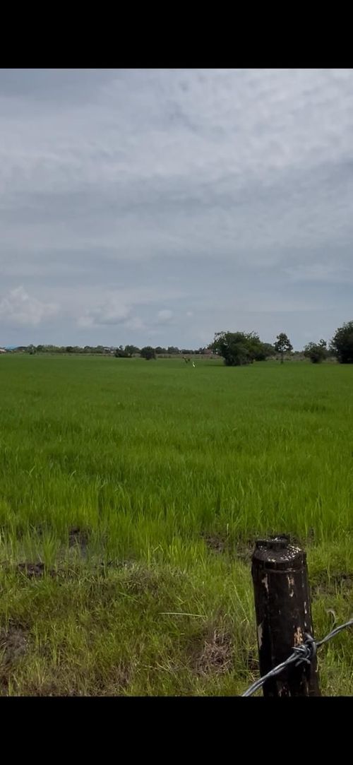 Finca en Venta en Cabuyaro - Miniatura 17