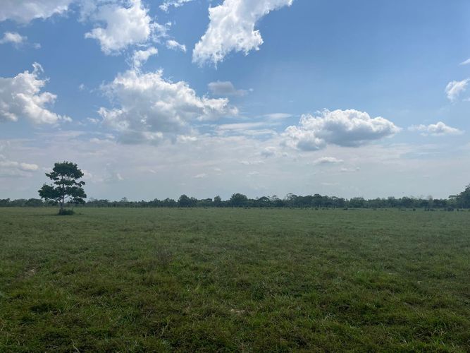 Finca en Venta en Cabuyaro - Miniatura 18