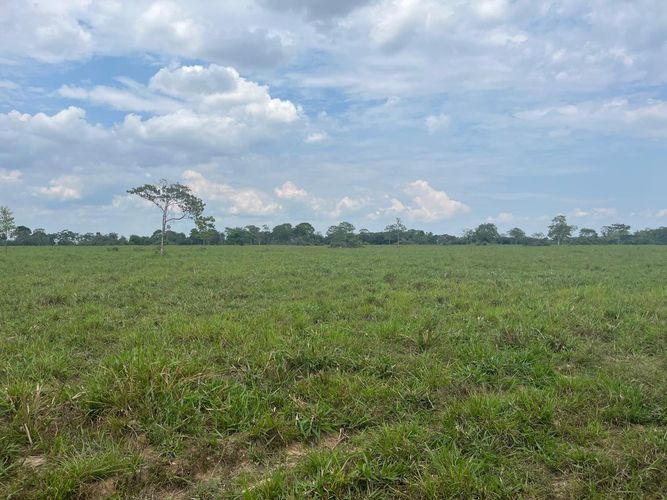 Finca en Venta en Cabuyaro - Miniatura 5