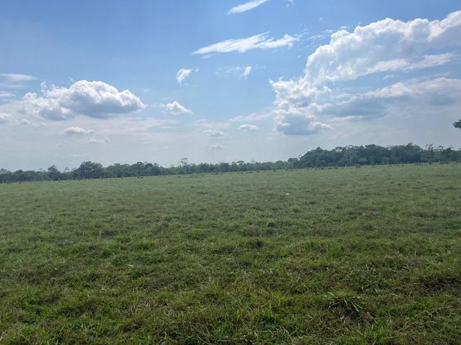 Finca en Venta en Cabuyaro - Miniatura 6