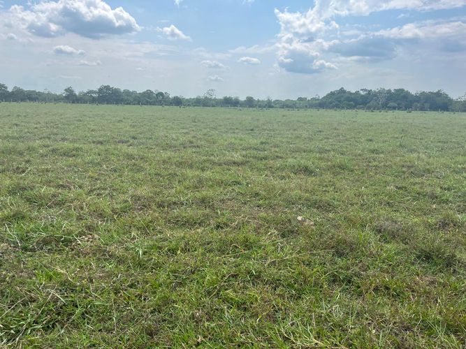 Finca en Venta en Cabuyaro - Miniatura 7
