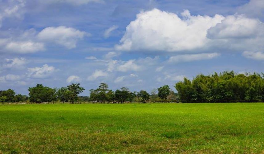 Finca en Venta en Chepero, Cumaral - Imagen 1