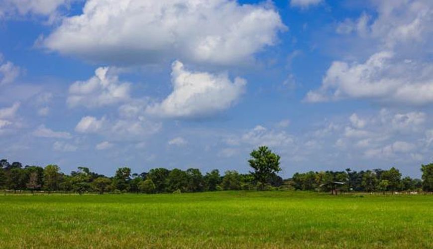 Finca en Venta en Chepero, Cumaral - Miniatura 2