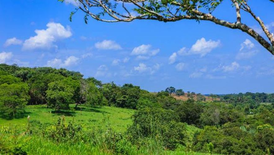 Finca en Venta en Chepero, Cumaral - Miniatura 4