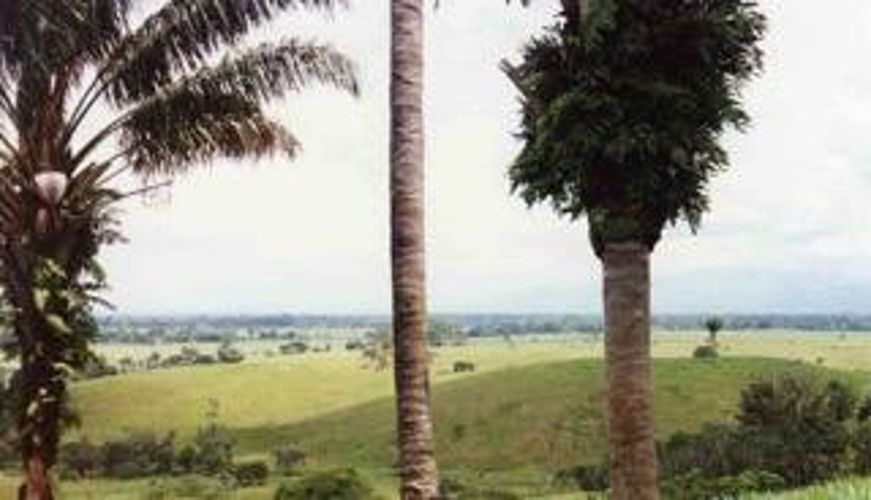 Finca en Venta en Chepero, Cumaral - Miniatura 6