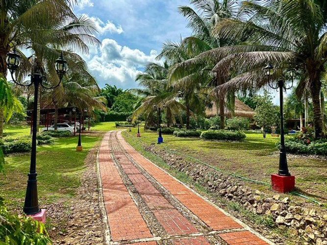 Finca en Arriendo en Polvo azul, Turbaco - Miniatura 7