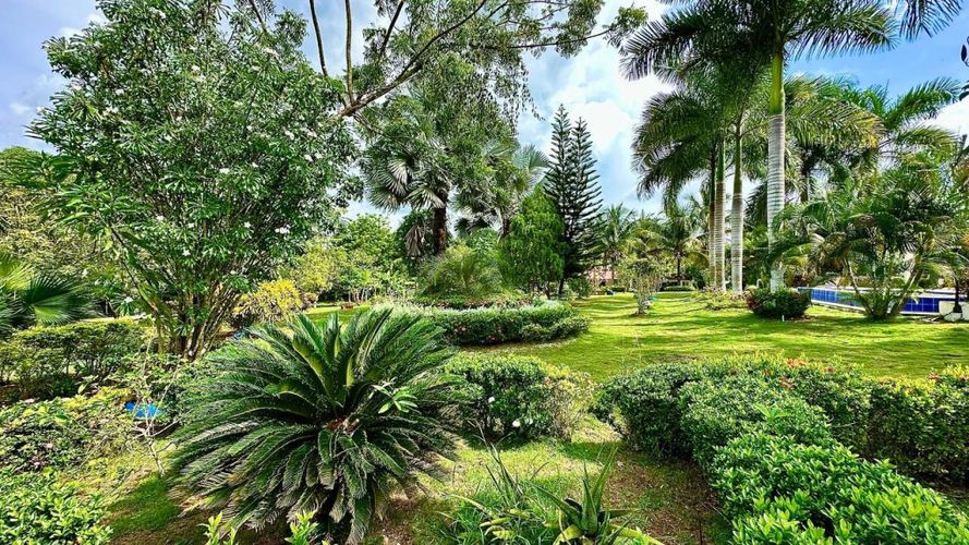 Finca en Arriendo en Polvo azul, Turbaco - Miniatura 10