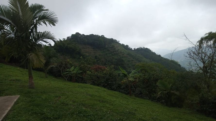 Finca en Venta en La bella, Pereira - Miniatura 4