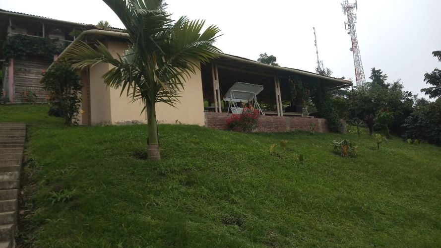 Finca en Venta en La bella, Pereira - Miniatura 6