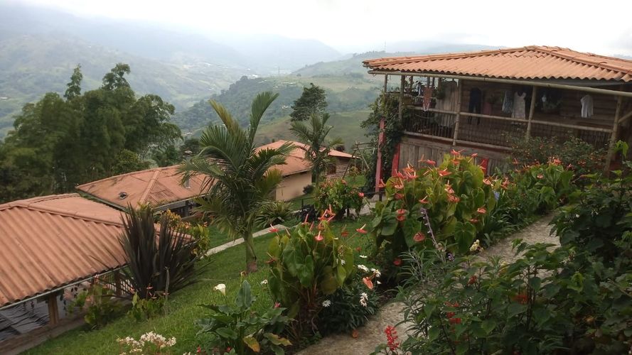 Finca en Venta en La bella, Pereira - Miniatura 10