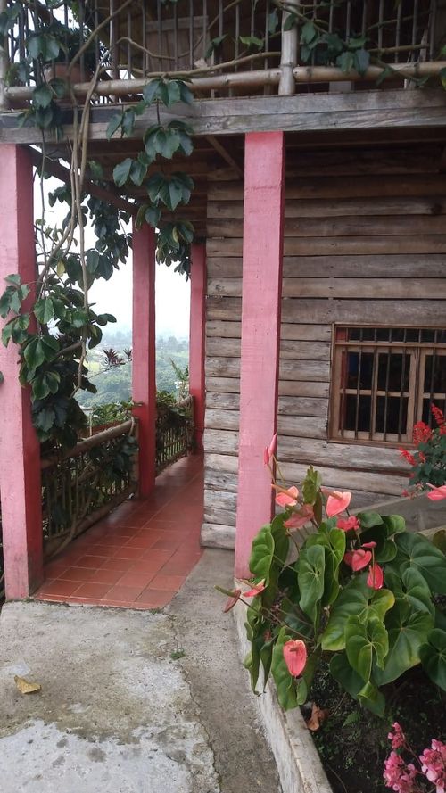 Finca en Venta en La bella, Pereira - Miniatura 15