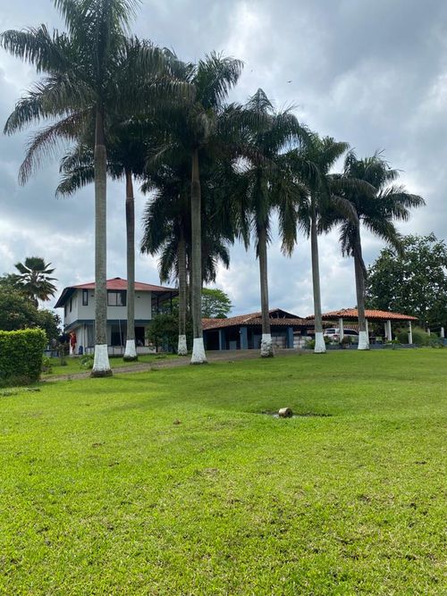 Finca en Venta en Pereira - Imagen 1
