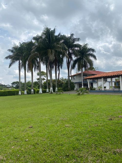 Finca en Venta en Pereira - Miniatura 3