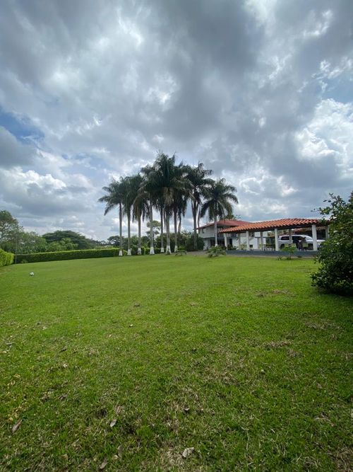 Finca en Venta en Pereira - Miniatura 4