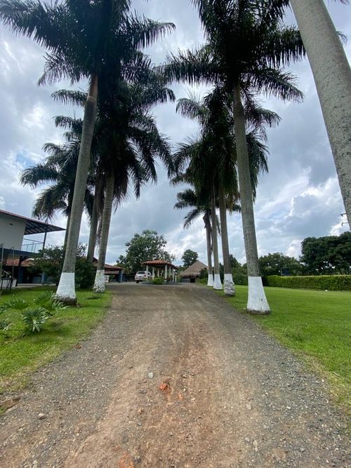 Finca en Venta en Pereira - Miniatura 5