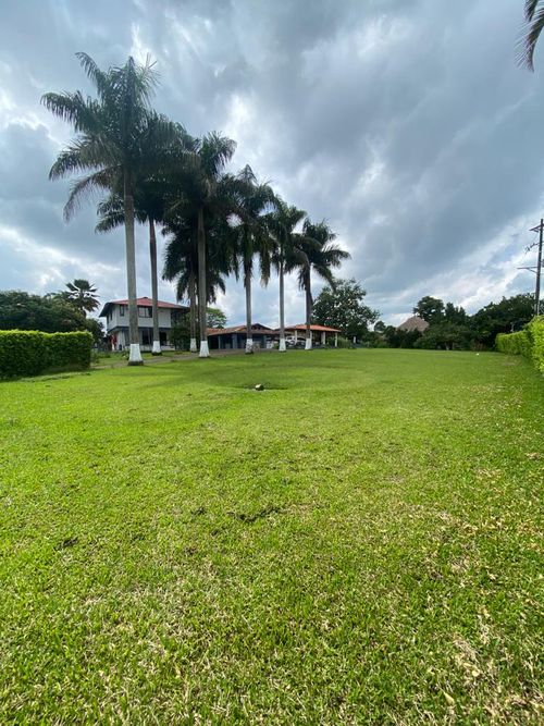 Finca en Venta en Pereira - Miniatura 6