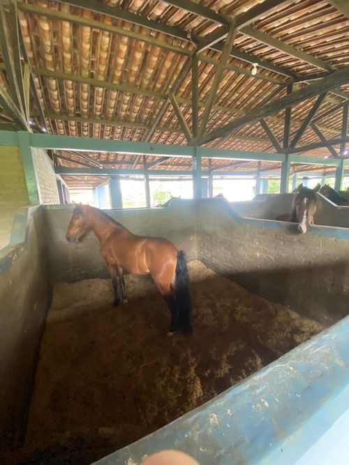 Finca en Venta en Pereira - Miniatura 12