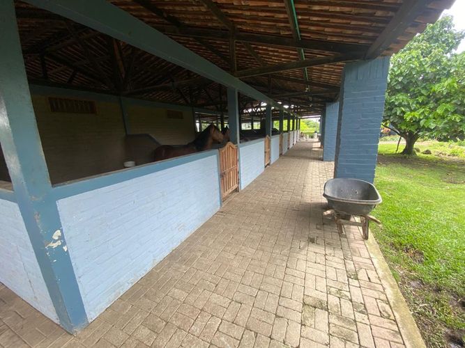 Finca en Venta en Pereira - Miniatura 13