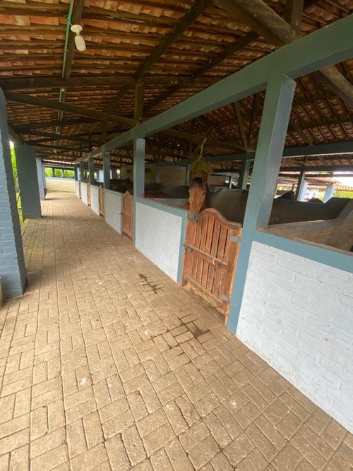 Finca en Venta en Pereira - Miniatura 14