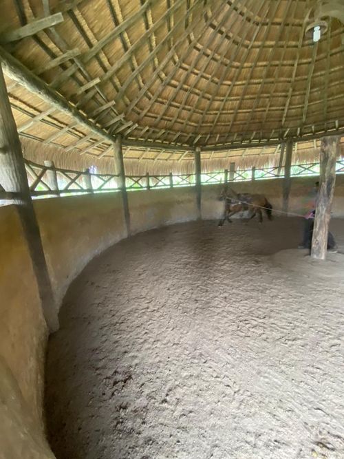 Finca en Venta en Pereira - Miniatura 17