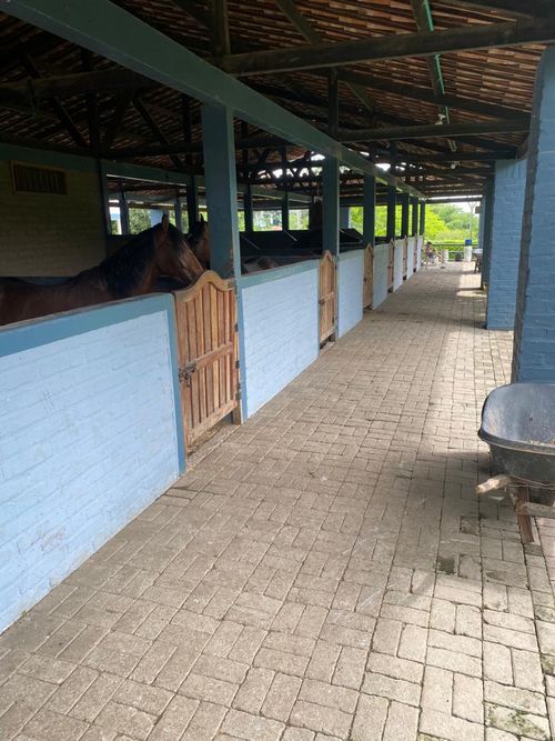 Finca en Venta en Pereira - Miniatura 18