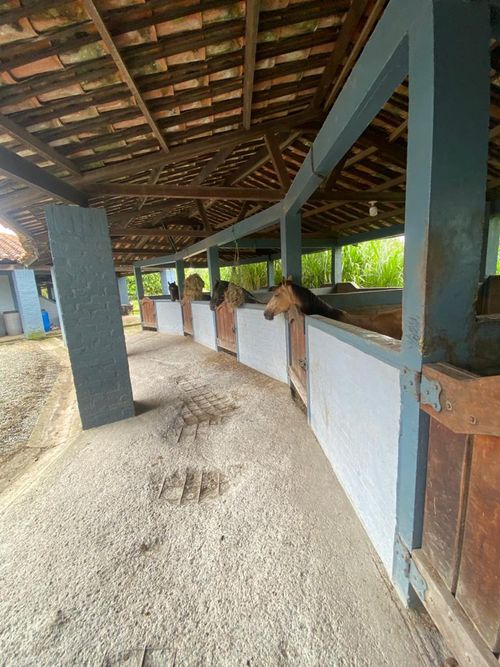 Finca en Venta en Pereira - Miniatura 19