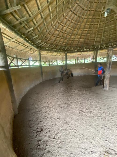 Finca en Venta en Pereira - Miniatura 21