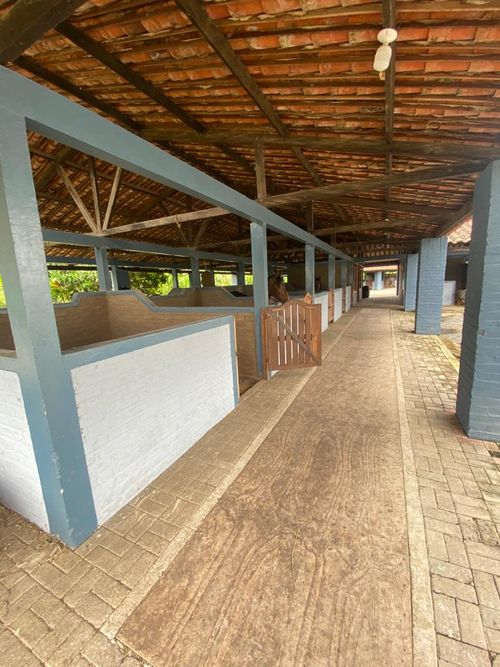 Finca en Venta en Pereira - Miniatura 26