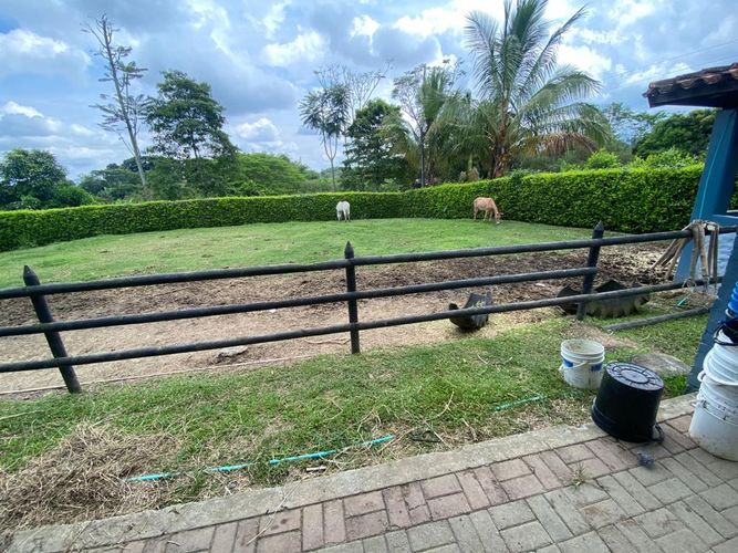 Finca en Venta en Pereira - Miniatura 29