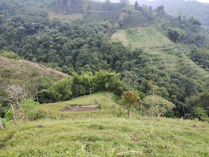 Finca en Venta en Dosquebradas - Imagen 1