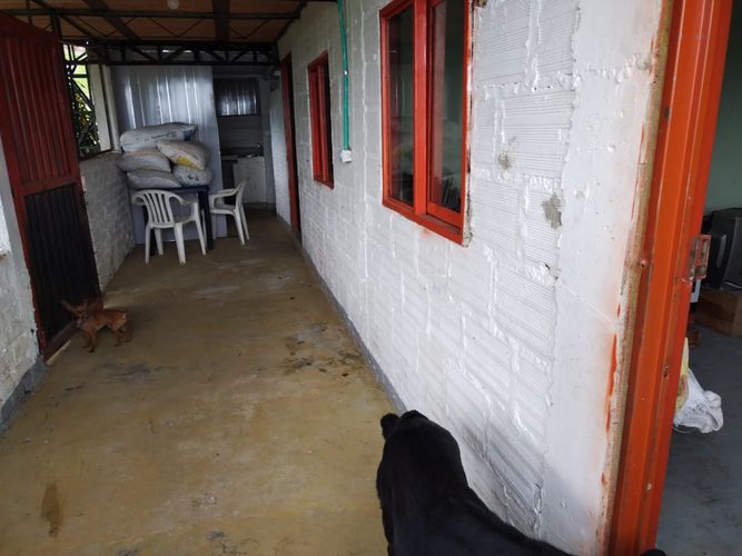 Finca en Venta en Dosquebradas - Miniatura 4