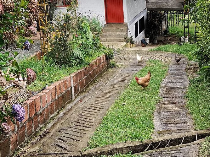 Finca en Venta en Dosquebradas - Miniatura 8