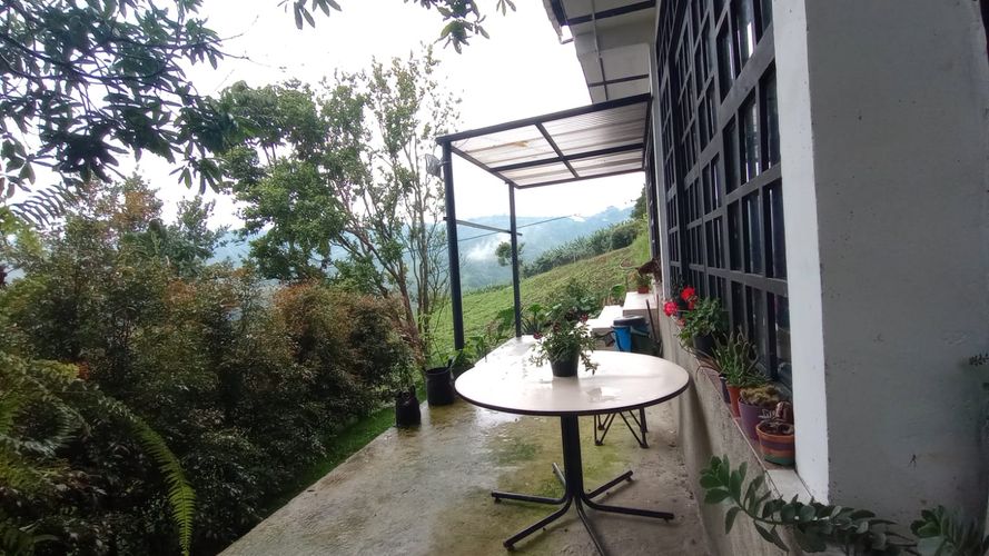 Finca en Venta en La florida, Pereira - Miniatura 29