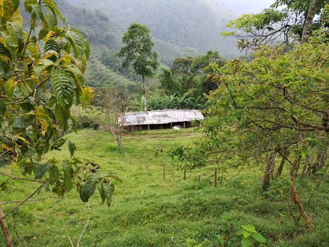 Finca en Venta en Dosquebradas - Miniatura 16