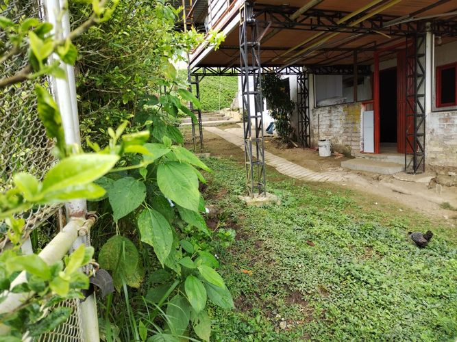 Finca en Venta en Dosquebradas - Miniatura 17