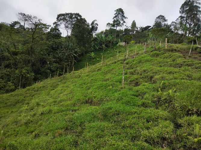 Finca en Venta en Dosquebradas - Miniatura 24