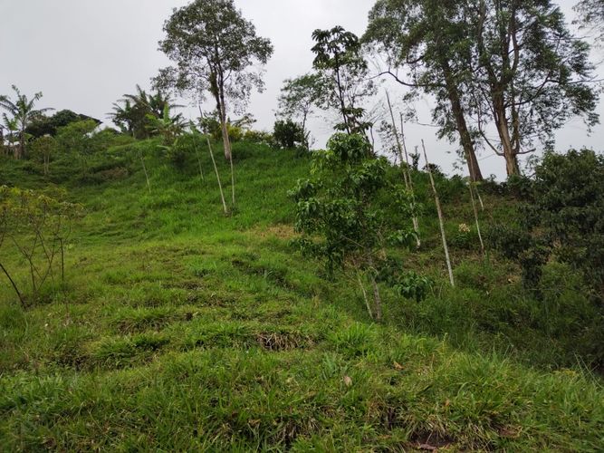 Finca en Venta en Dosquebradas - Miniatura 27