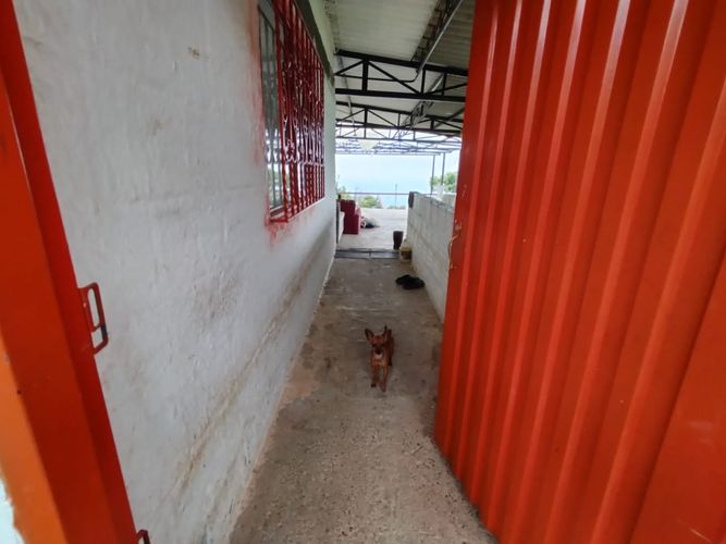 Finca en Venta en Dosquebradas - Miniatura 28