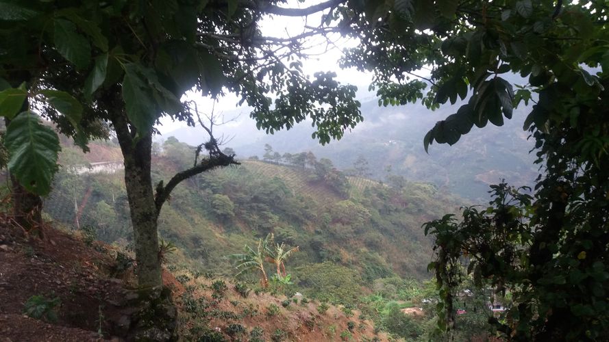 Finca en Venta en Apia - Miniatura 2