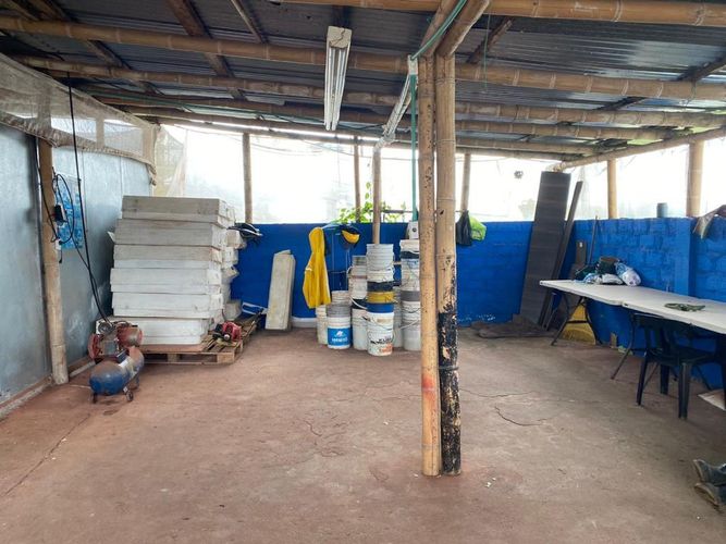 Finca en Venta en Pereira - Miniatura 8