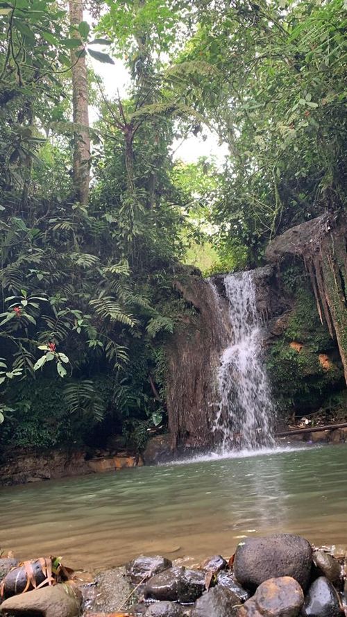 Finca en Venta en Pereira - Miniatura 9