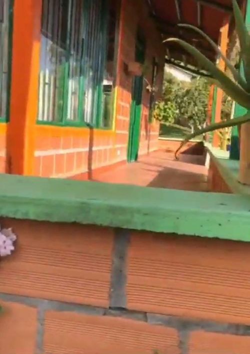 Finca en Venta en Pereira - Miniatura 5