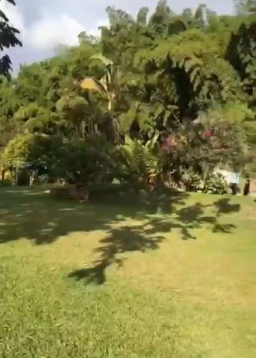Finca en Venta en Pereira - Miniatura 8