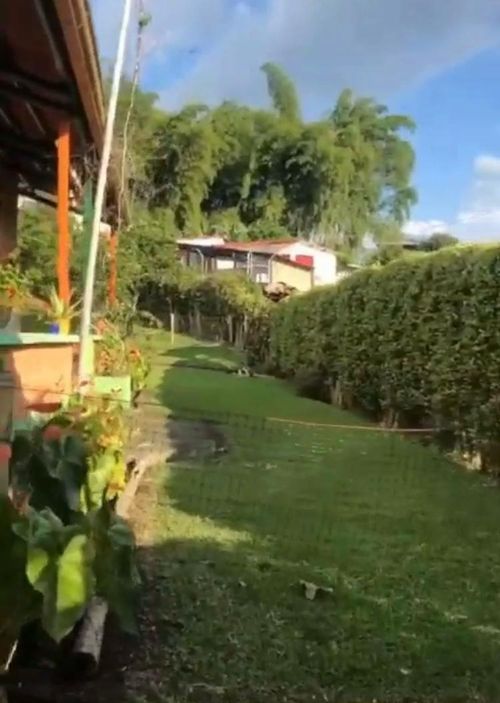 Finca en Venta en Pereira - Miniatura 11