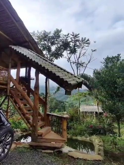 Finca en Venta en Santa rosa de cabal - Miniatura 17